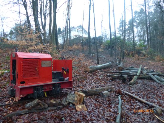 Beim Holzrücken